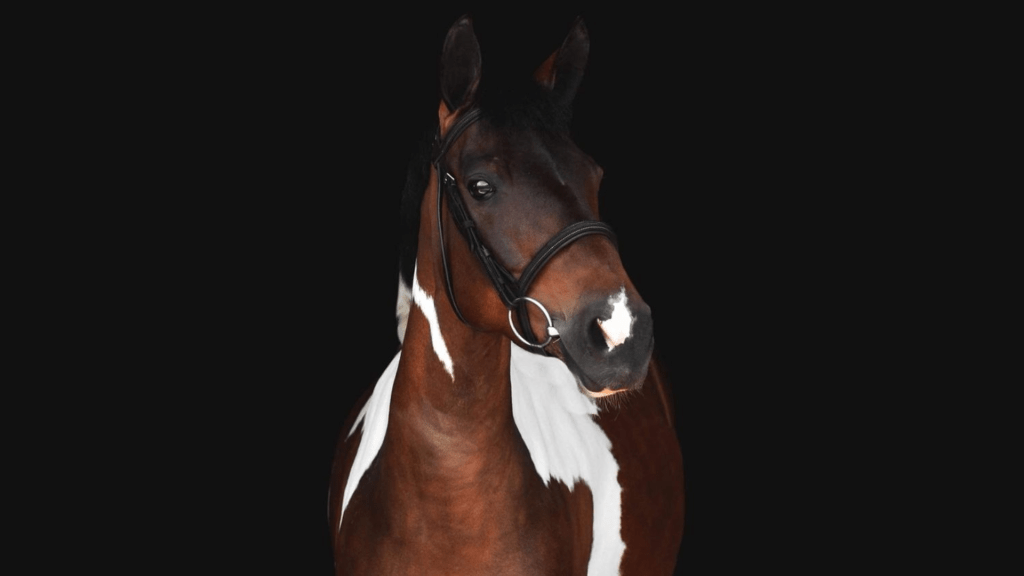 Good Golly Miss&nbsp;Molly